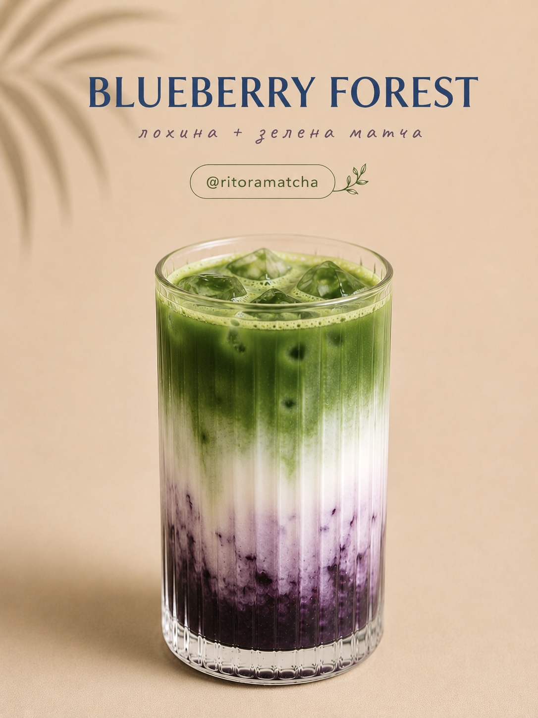 Blueberry Forest