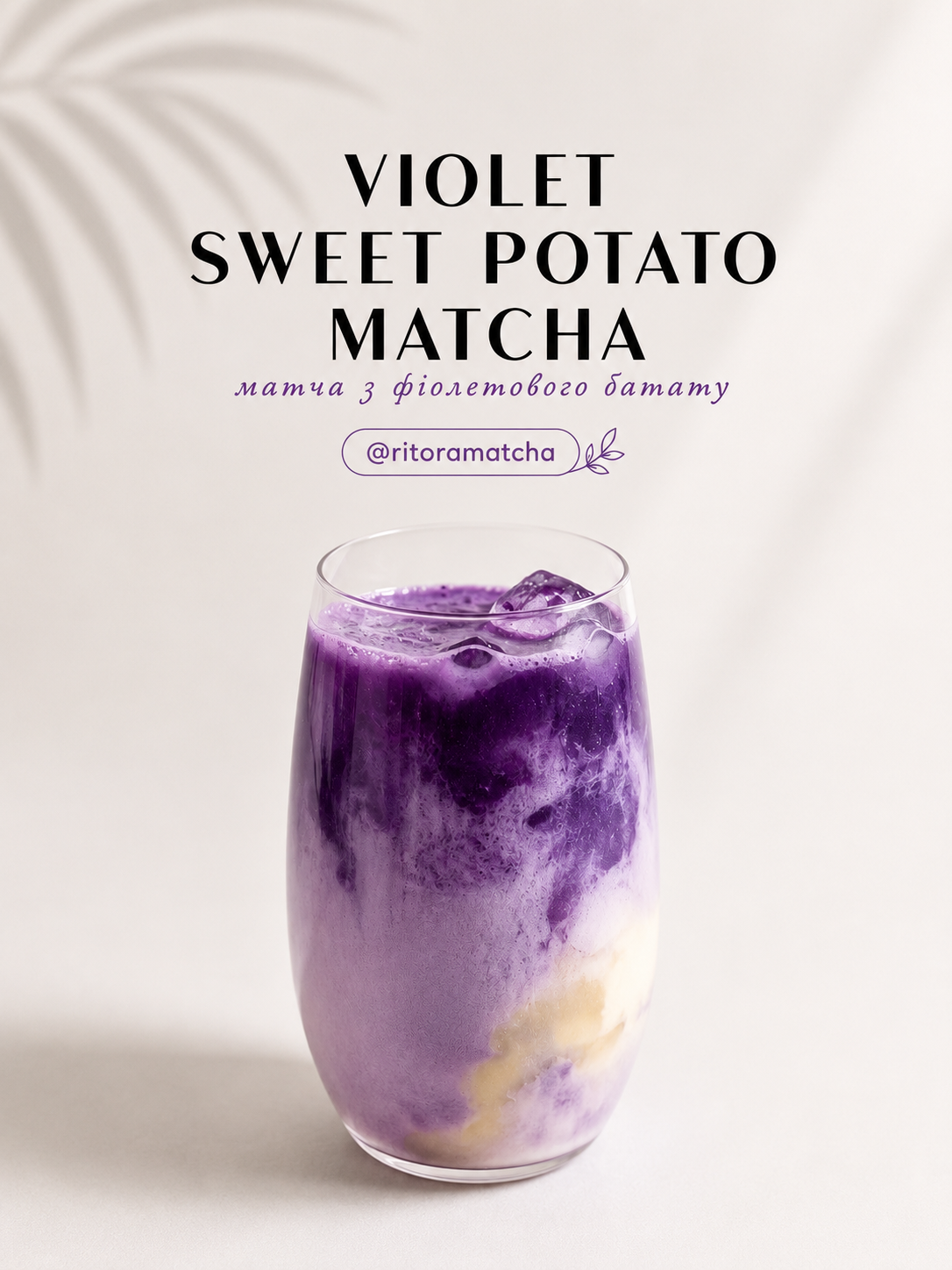 VIOLET SWEET POTATO MATCHA