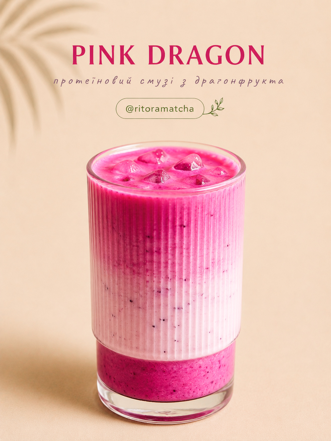 Pink Dragon